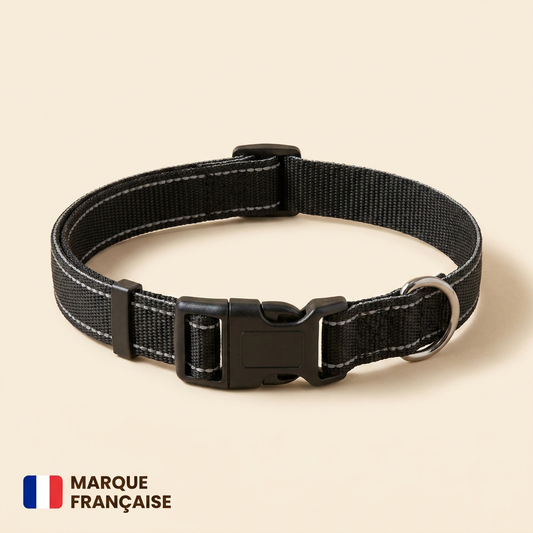 PaxiCollar™ — Collier réfléchissant 360°